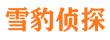 玛沁寻人公司